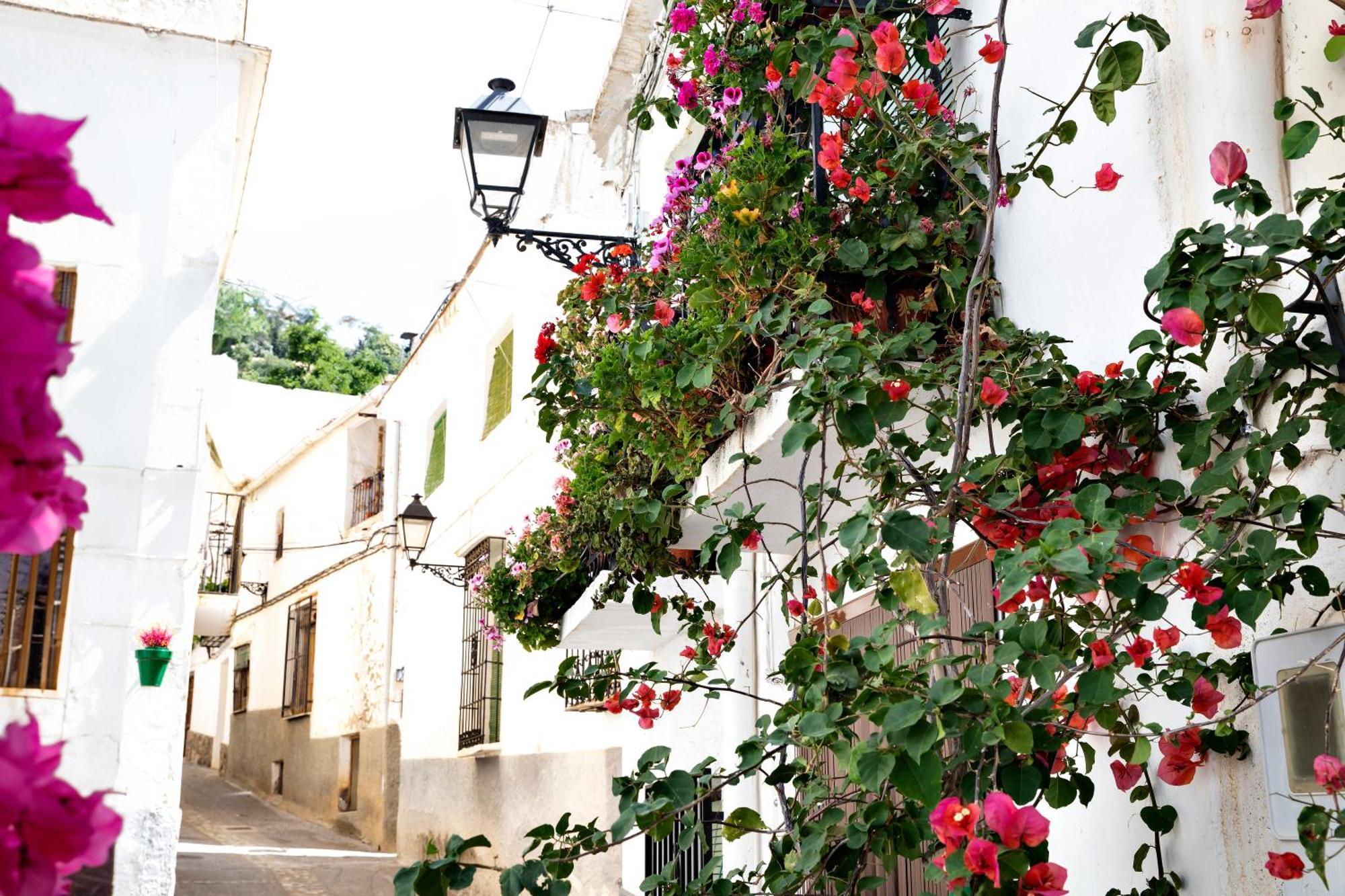Alpujarra Relax Carataunas Eksteriør bilde